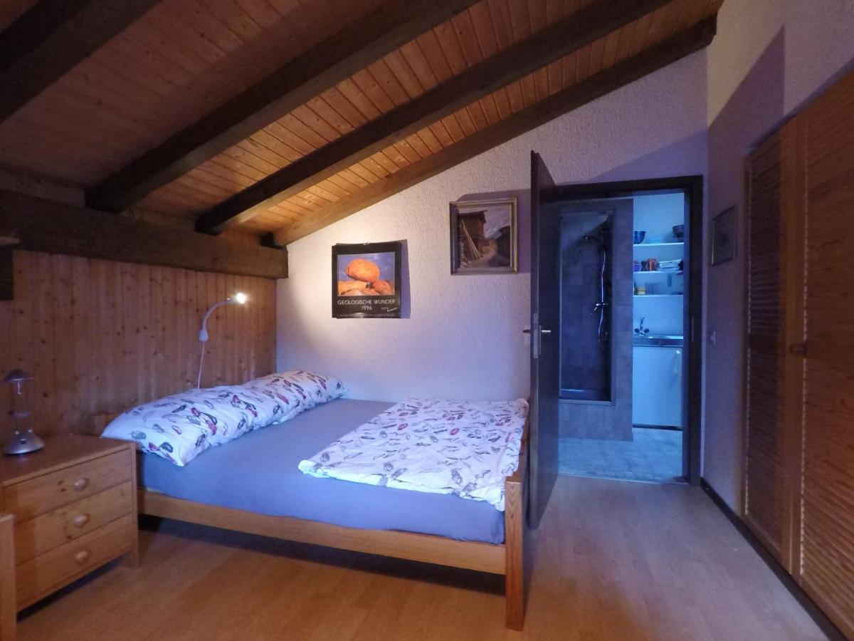 Ferienwohnung Interlaken/Wilderswil Εξωτερικό φωτογραφία