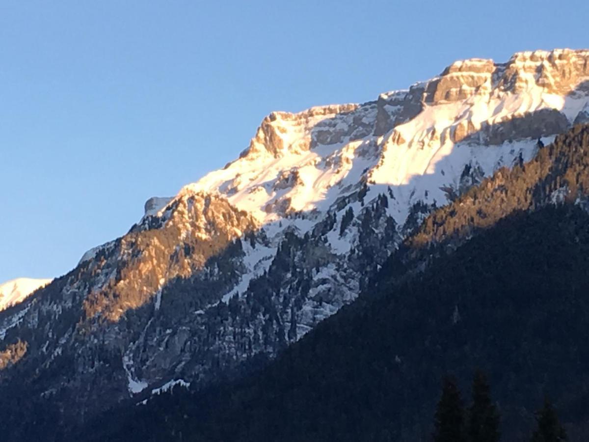 Ferienwohnung Interlaken/Wilderswil Εξωτερικό φωτογραφία