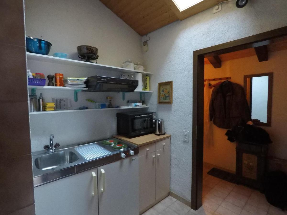 Ferienwohnung Interlaken/Wilderswil Εξωτερικό φωτογραφία