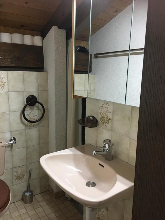 Ferienwohnung Interlaken/Wilderswil Εξωτερικό φωτογραφία